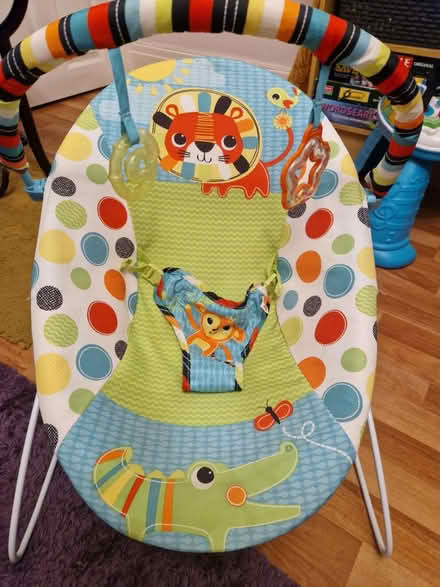 Photo of free Baby bounce chair (Preston PR5) #2