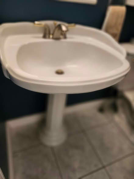 Photo of free Matching Sink and Toilet (Orleans) #1