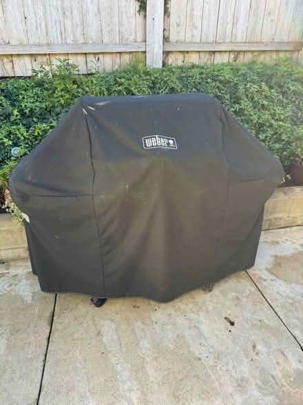 Photo of free Weber Gas Grill (South Carlsbad / La Costa) #3