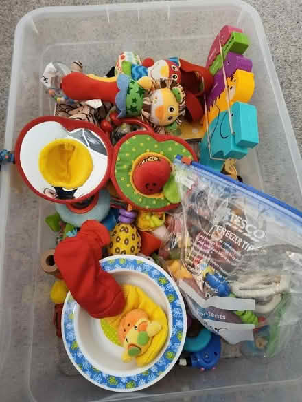 Photo of free Young children toys (Buggs Bottom RG4) #1