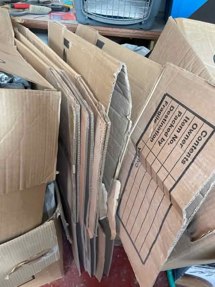 Photo of free Packing boxes and paper (North End BS21) #2