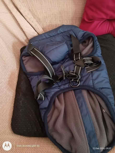 Photo of free brand new dog jacket (Drylaw EH4) #2