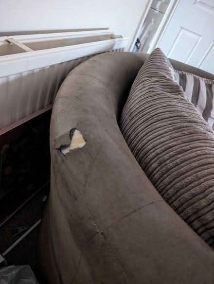 Photo of free Cuddle chair (Polegate BN26) #3