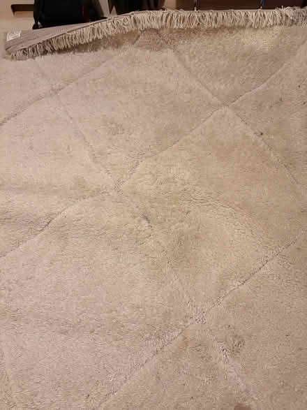 Photo of free Large Berber style rug (NW10) #3