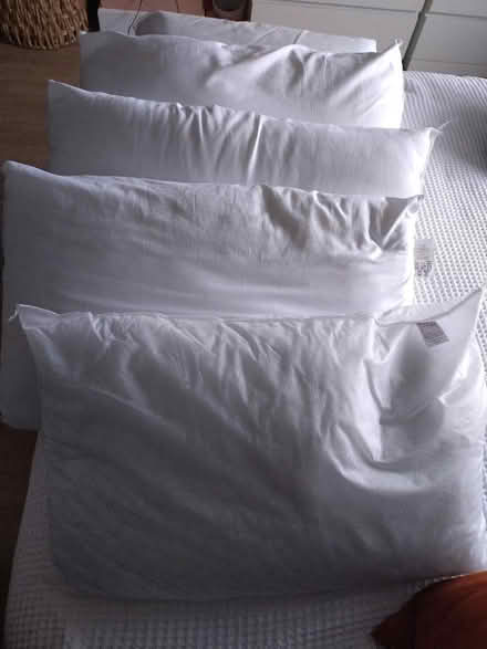 Photo of free Pillows - excellent condition (CO15) #1