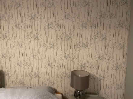 Photo of free Rolls of Scandinavia style wallpaper (Whitegrove RG42) #2
