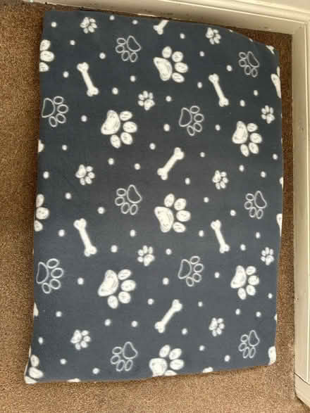 Photo of free Dog/cat bed (Peel hall M22) #1