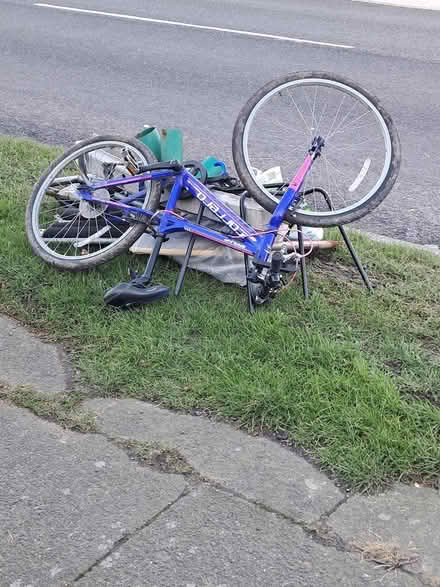 Photo of free scrap (S12 Basegreen) #1