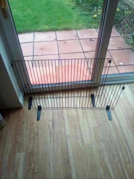 Photo of free pet guards (North Worle BS22) #2