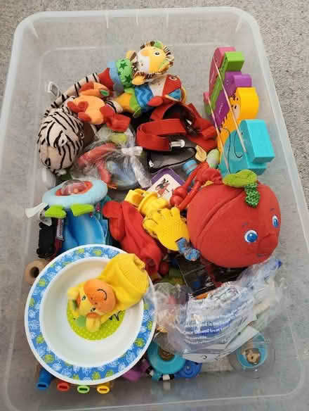 Photo of free Young children toys (Buggs Bottom RG4) #2