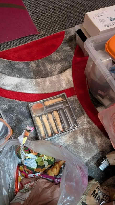 Photo of free Frozen Food (BD22) #4