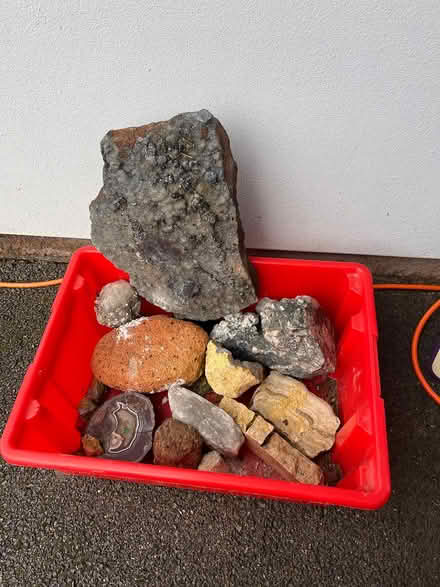 Photo of free Fancy rocks (Leckhampton) #1