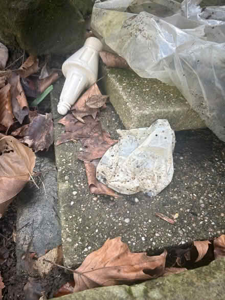 Photo of free Garden slabs - S6 (Wisewood S6) #3