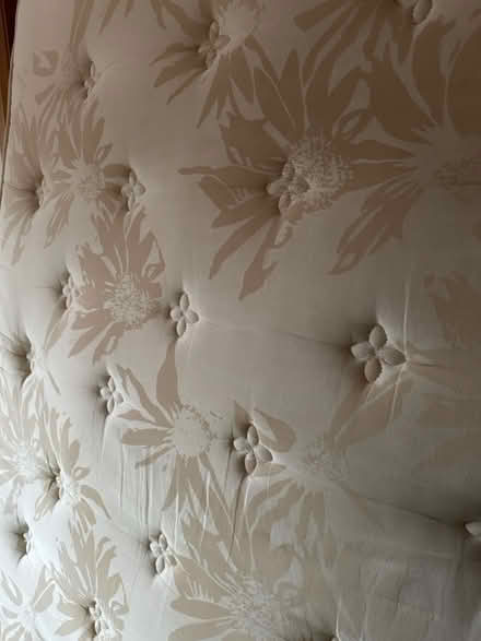 Photo of free Double Mattress Cushion-top (St Leonards-on-Sea TN37) #3