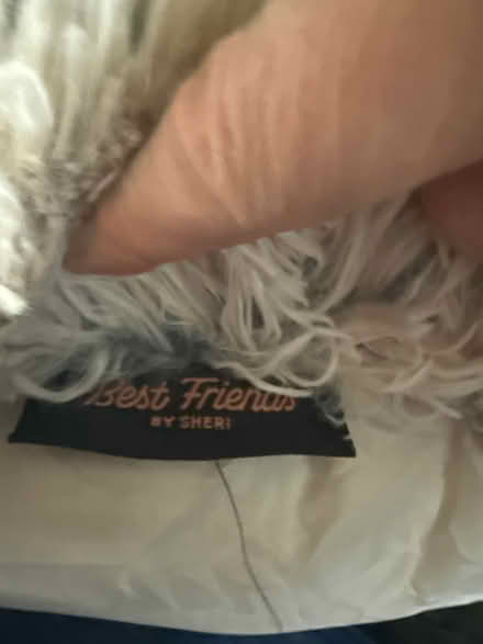 Photo of free Small dog/cat bed (Northolt) #3