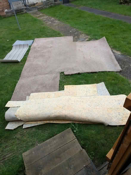 Photo of free Carpet (Chells SG2) #1