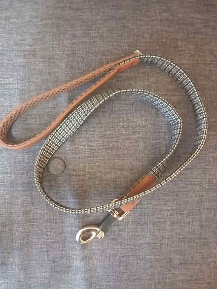 Photo of free Various dog leads (new or barely used) (Heaton Park M25) #3