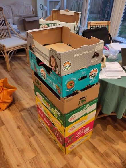 Photo of free Fourteen cardboard trays / boxes (Lower Earley RG6) #1