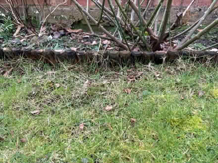 Photo of free Garden edging (Barnet EN5) #2