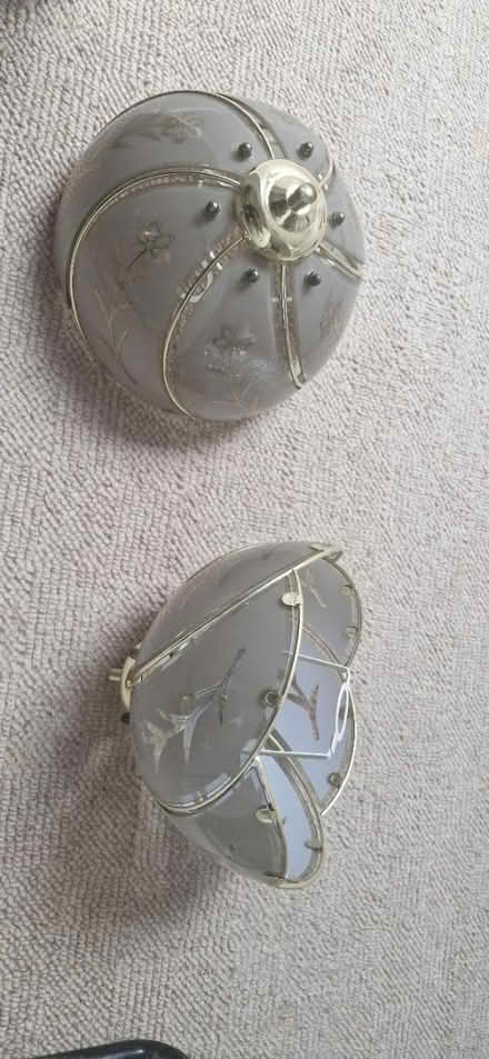 Photo of free 2 glass lamp shades (Bracknell RG12) #1