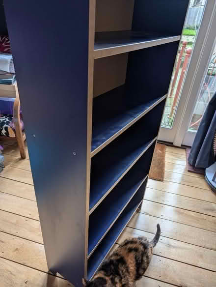 Photo of free Navy blue and light wood bookcase (Hertford SG13) #2