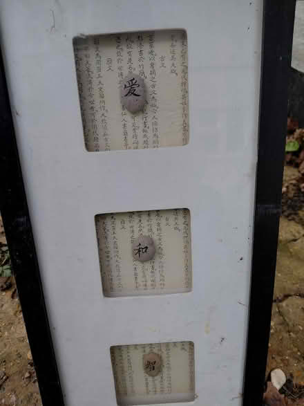 Photo of free Japanese? (Leigh-on-Sea SS9) #3