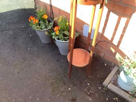 Photo of free Artificial plant and plant stand (Rushwick WR2) #2
