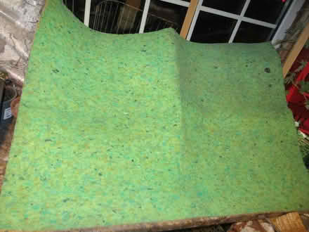 Photo of free Kapok sheet (Dublin 12) #1