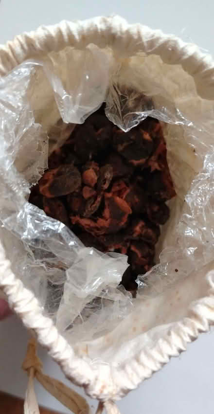 Photo of free Bag soap nuts (Witham CM8) #1
