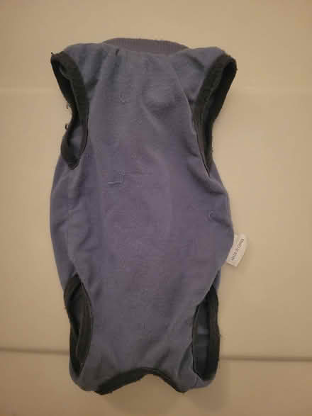 Photo of free Pet recovery suit (Chantilly, VA) #2