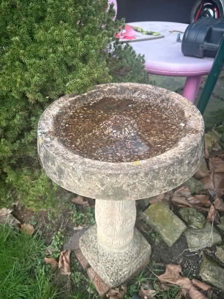 Photo of free Bird bath - S6 (Wisewood S6) #1