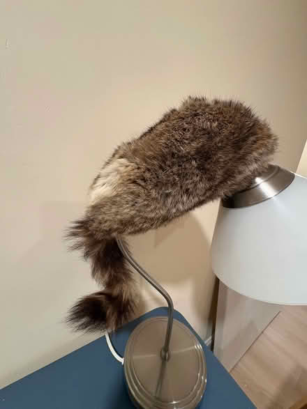 Photo of free Posters and miscellaneous items (Coventry, RI) #4