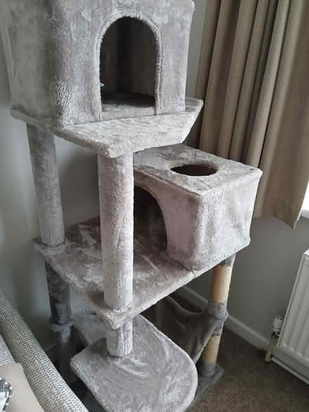 Photo of free Cat tree (Wallisdown BH12) #2