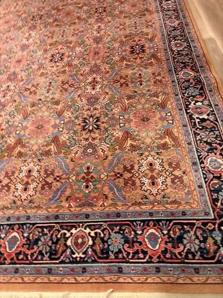 Photo of free Karastan wool rug (West Glenview) #2