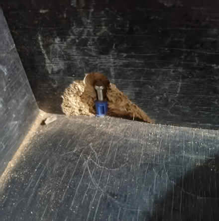 Photo of free Vivexotic Vivarium (Matchborough East B98) #3