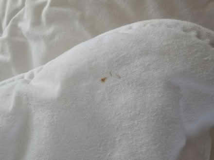 Photo of free Baby Duvet 7.0 Tog 120 x 150cm (Bladon OX20) #3