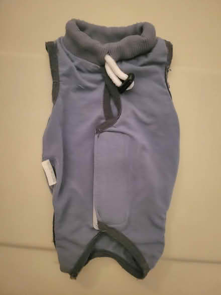 Photo of free Pet recovery suit (Chantilly, VA) #1
