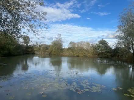 Photo of Fishing equipment (Ashford TN23) #1