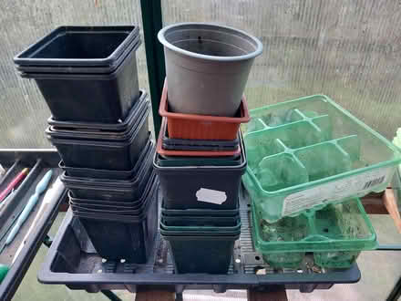 Photo of free Plant pots and trays (Dursley GL11) #1