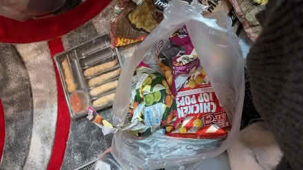 Photo of free Frozen Food (BD22) #3