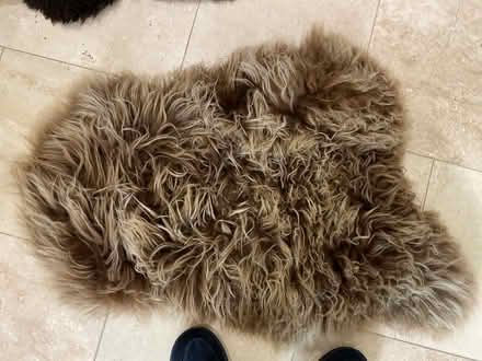 Photo of free 2 x sheepskin rugs (West Byfleet, KT14) #1