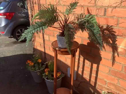 Photo of free Artificial plant and plant stand (Rushwick WR2) #1