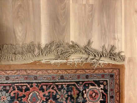 Photo of free Karastan wool rug (West Glenview) #3