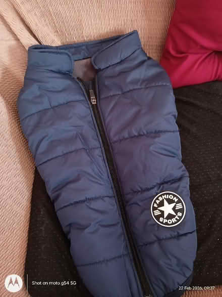 Photo of free brand new dog jacket (Drylaw EH4) #1