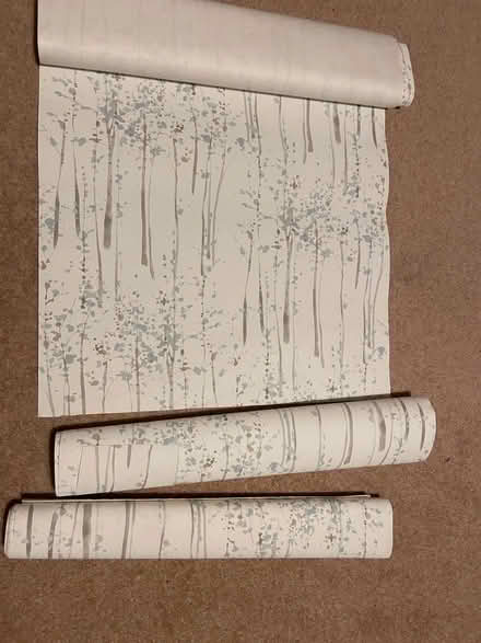 Photo of free Rolls of Scandinavia style wallpaper (Whitegrove RG42) #1