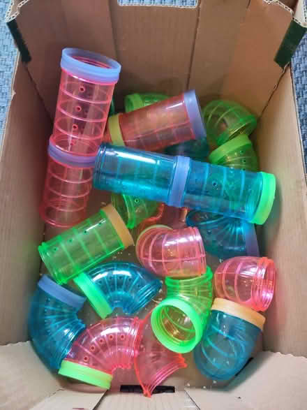Photo of free Hamster tubes (TN39) #1