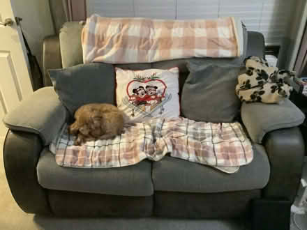 Photo of free Two seater and recliner chair (Ellesmere Port CH66) #1