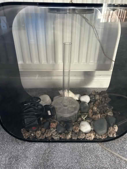 Photo of free Bio orb fish tank (Peel hall M22) #2