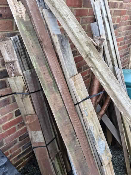 Photo of free Wood (Wigmore) #1