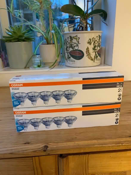 Photo of free 10 12v GU5.3 50W light bulbs (Twickenham TW2) #1